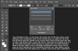 Adobe Photoshop CS6