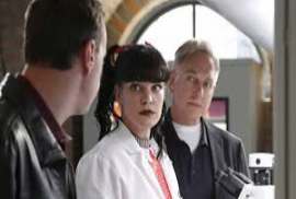 NCIS S14E03